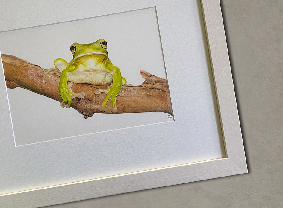 Rowville Framing | picture framing styles